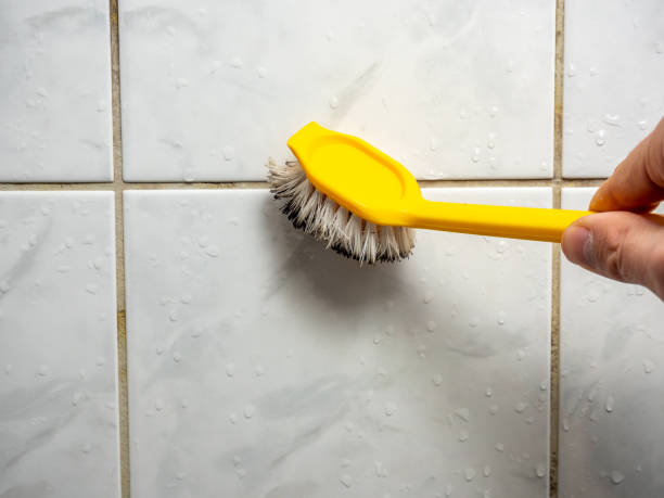 Best Mold Remediation  in Palm Shores, FL